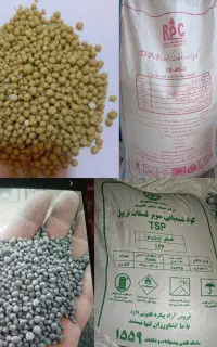 فروش کود سوپرفسفات تریپل