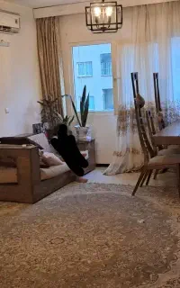 مبلمان راحتی باچوب راش ومیز ناهارخوری سرویس