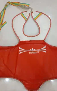 هوگو
