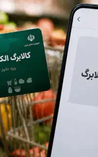 ثبت افزایش کالابرگ در سریع ترین زمان ممکن