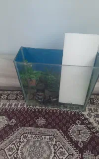 اکواریوم معاوضه با پرنده