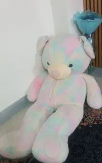 عروسک خرس ودوچرخه