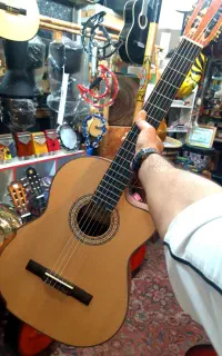 گیتار سوزوکی