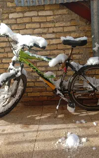 دوچرخه ویوا اصل