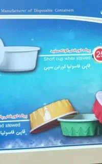 ظروف یکبار مصرف