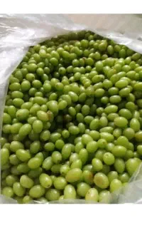 ابگیری غوره لیمو انار انگور گوجه