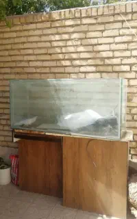 آکواریوم