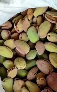 بادام درختی خیس