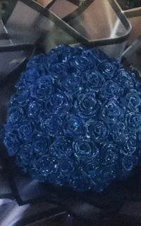 گل ربانی ۶۰ شاخه
