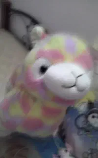 عروسک استفاده نشده