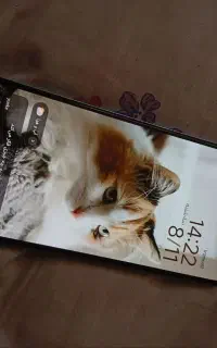 گوشی شیائومی نوت ۱۲اس
