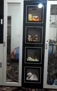 سرویس خواب نو جوان