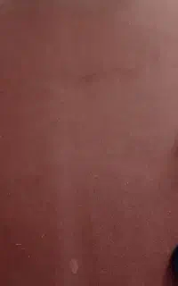 موکت
