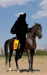 مادیان و نریان