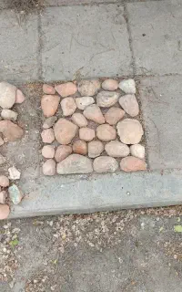 استخدام زنان سرپرست