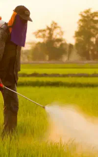 سمپاشی چمن زنی ،محوطه سازی،باغبانی هرس درختان و..