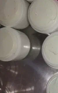 کرم شب جلبک