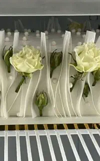 انواع کیک و شیرینی خانگی