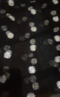 مینی اسکارف گم شده
