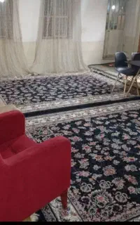 ۲عدد قالی ۹ متری جفت ۱۳ونیم