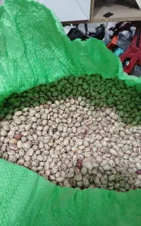 فروش لوبیا چیتی درجه یک علا