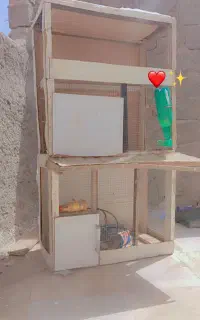 گنجه کبوتر