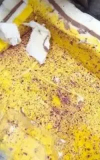 پخش بستنی سنتی گندم برای مراسمات