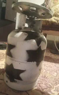پیکنیک دوقلو