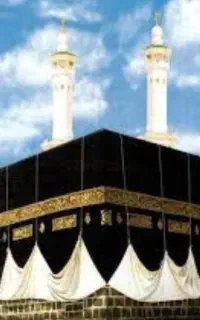 فروش ۲ عدد فیش مکه