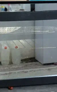 توستر لمسی نو