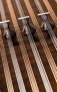 آموزش تخصصی سنتور نوازی