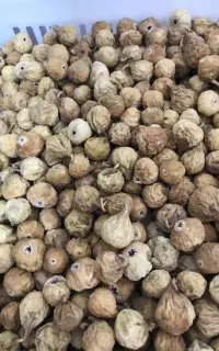 انجیر تازه ارگانیک
