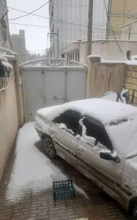 تور ی شبه پاوه