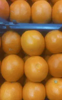 نیروی ساده برای میوه فروشی
