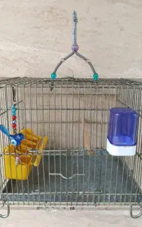 قفس های سهره و قناری نو وسایل تکمیل،دوبین حرفه ای
