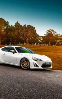 نیرو کارواش