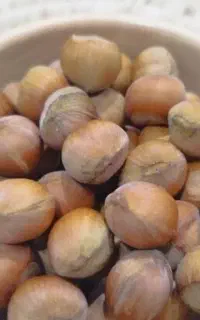فندق خام و تازه