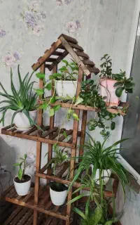 استندگل