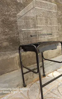 قفس پرنده