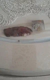 سنگ شجراصل