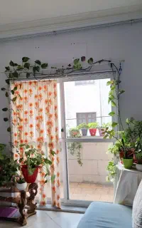 اجاره اتاق درسالن زیبایی