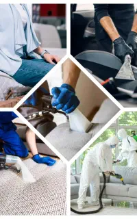 مازندپاکشو، احیای حال خوب مبلمان، مبلشویی،مبل شویی