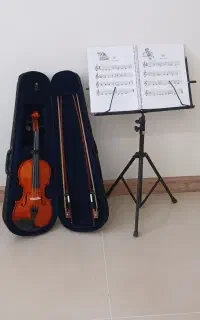 ویلن خارجی آموزشی