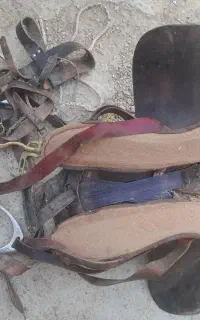 زین اسب