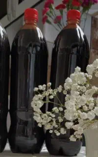 شیره انگور