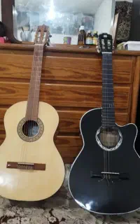 فروش گیتارپارسی ودیاموند