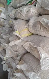 جو دام بدز شش پر
