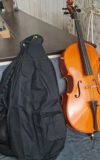 ویالنسل 2/4