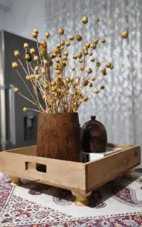 اکسسوری