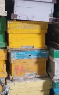 کندو